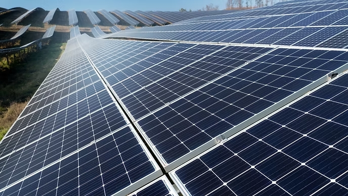 soft beautiful alternative energy plant with solar panels 1