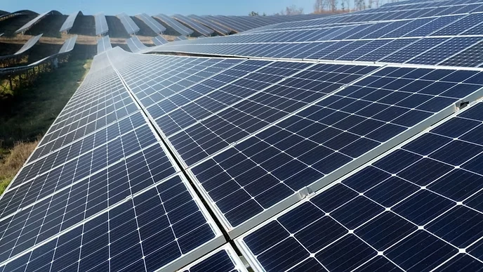 soft beautiful alternative energy plant with solar panels 1